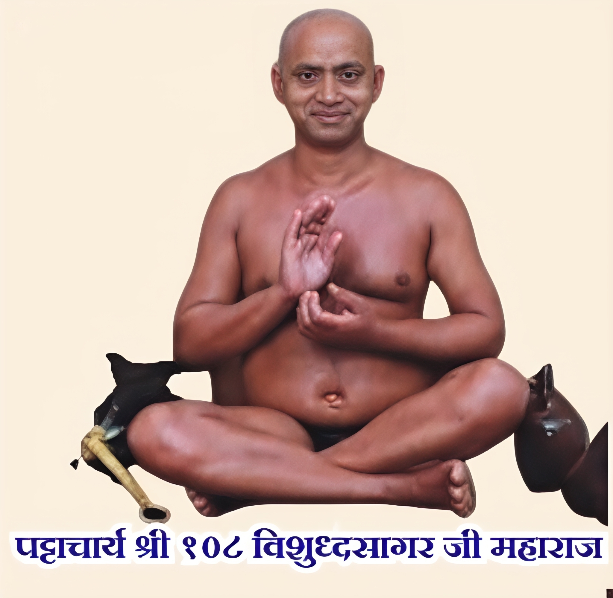 श्री 108 विशुद्धसागर जी महाराज